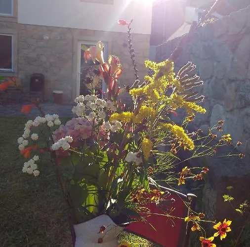 Prázdninový dům Casa Zinda